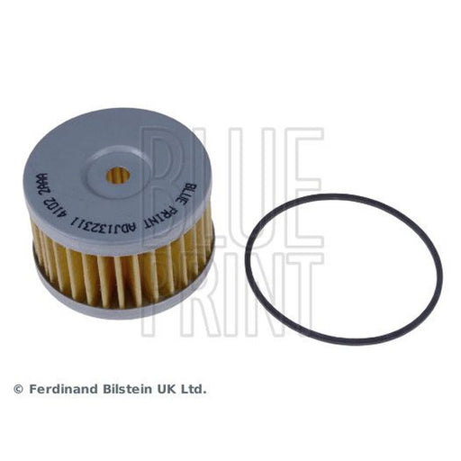 Blue Print Fuel Filter Element ADJ132311