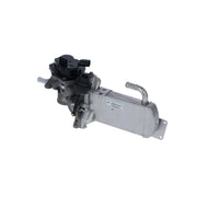 NRF Exhaust Gas Recirculation Valve 48202