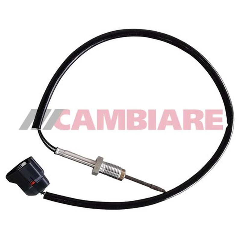 Cambiare Exhaust Gas Temperature Sensor after soot particulate VE390299