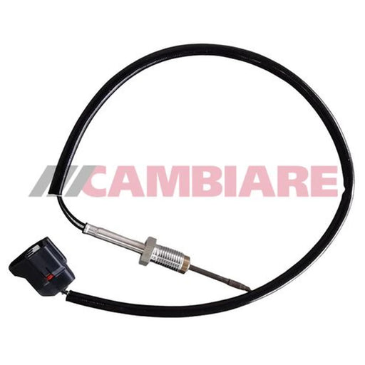 Cambiare Exhaust Gas Temperature Sensor after soot particulate VE390299