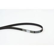 Continental CTAM Timing Belt Cambelt 122 Teeth CT687