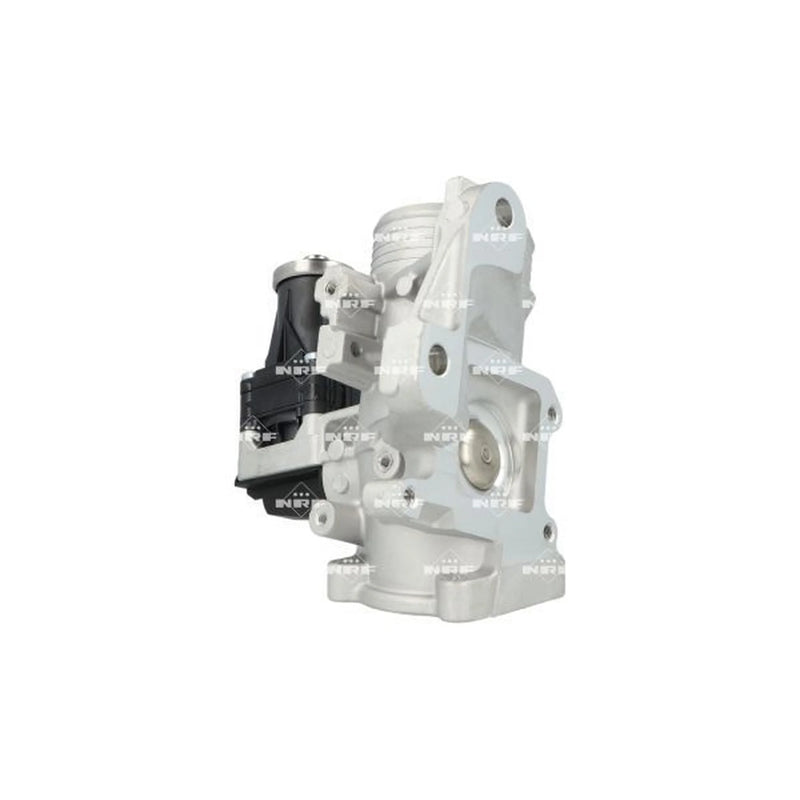 NRF Exhaust Gas Recirculation Valve 48738