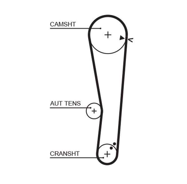 Gates Timing Belt Cambelt Teeth 5568XS