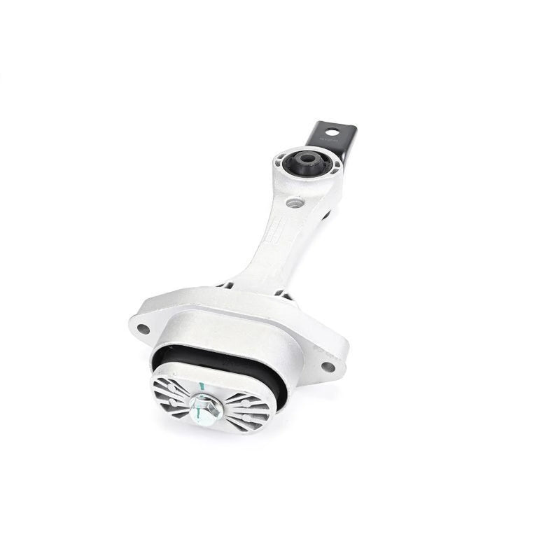 Delphi Engine Mount Mounting Rear TEM260