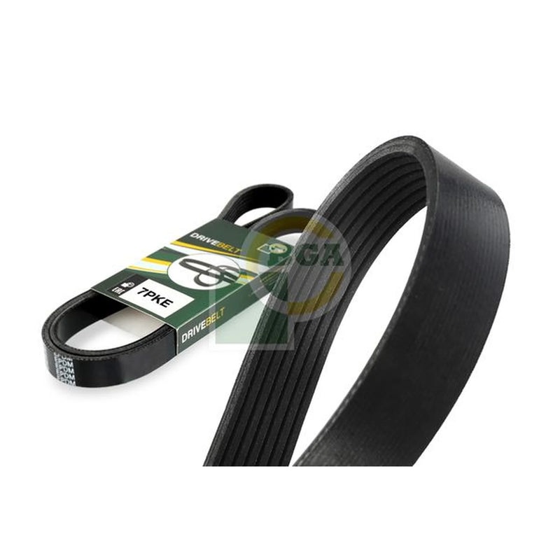 BGA Multi V-Ribbed Drive Belt 7PK1257E