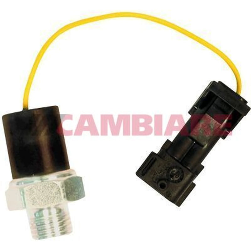 Cambiare Oil Pressure Sensor Switch VE706048