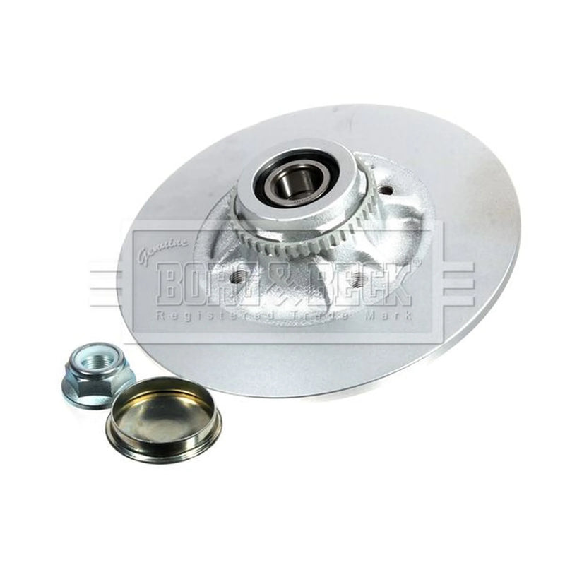 Borg & Beck 2 x Solid Rear Brake Discs BBD5939S-x2