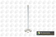 Bga V165051 Exhaust Valve