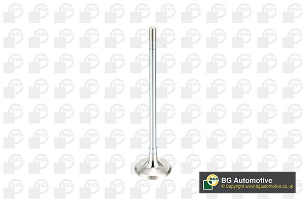 Bga V165051 Exhaust Valve