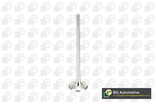 Bga V165051 Exhaust Valve