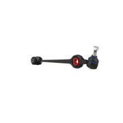 Delphi Control/Trailing Arm Lower TC176