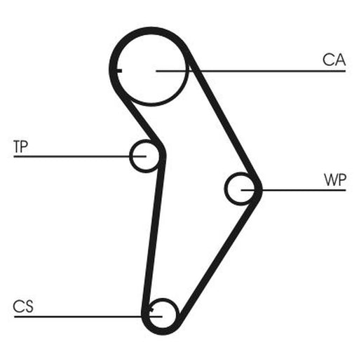 Continental CTAM Timing Belt Kit with Rollers CT973K1