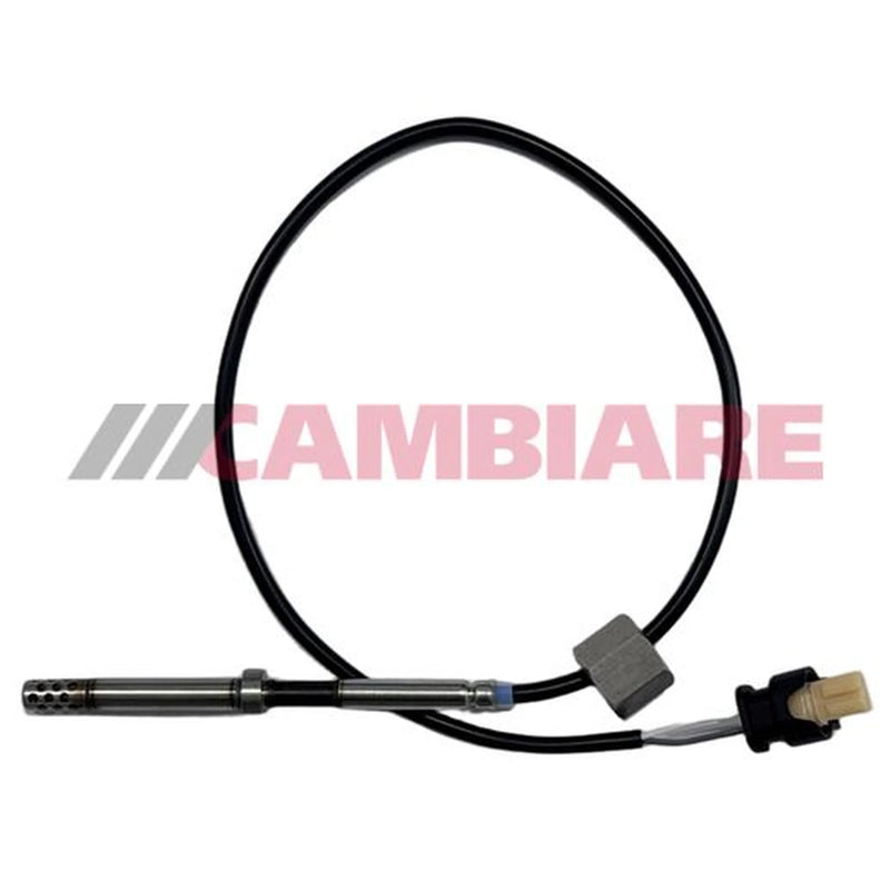 Cambiare Exhaust Gas Temperature Sensor before soot p VE390504