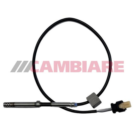Cambiare Exhaust Gas Temperature Sensor before soot p VE390504