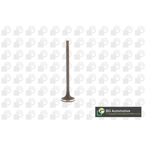 BGA Engine Exhaust Valve 24mm Head V230711