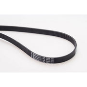 Continental CTAM Multi V-Ribbed Drive Belt 6PK2404