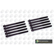 BGA Cylinder Head Bolt Set M10 BK2316