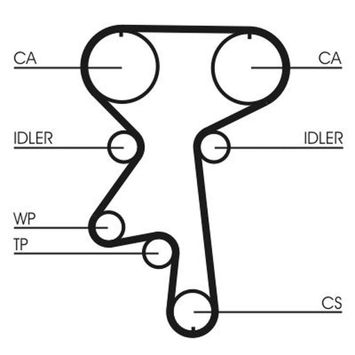 Continental CTAM Timing Belt Cambelt 171 Teeth CT924