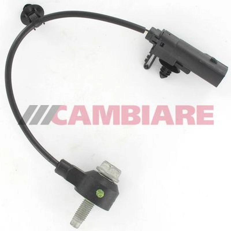 Cambiare Engine Knock Sensor VE369160