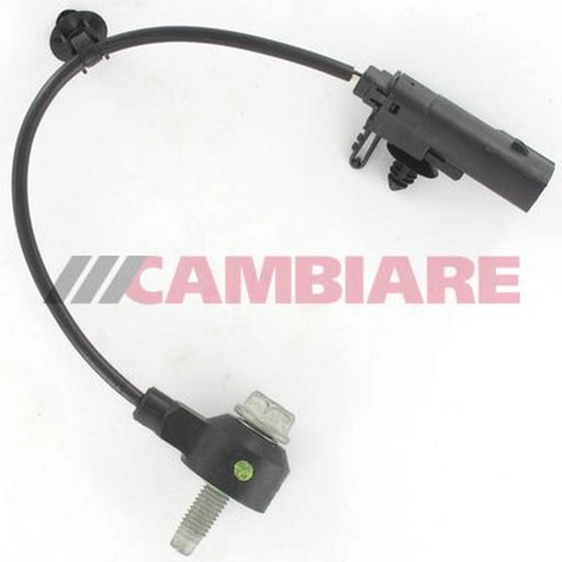 Cambiare Engine Knock Sensor VE369160