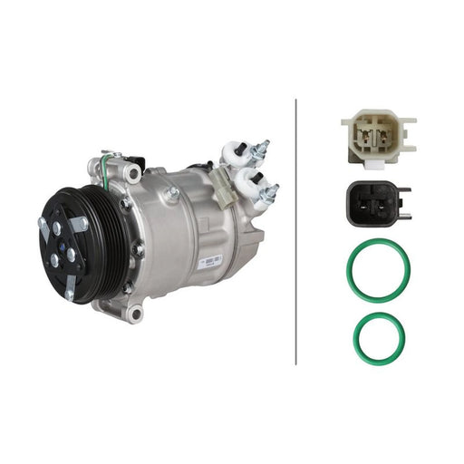 Hella Air Conditioning Compressor 8FK 366 203-481