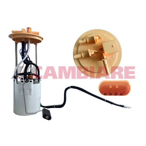 Cambiare Fuel Tank Sender Unit VE527014