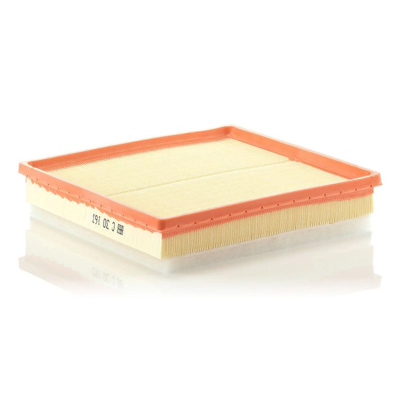MANN-FILTER Engine Air Filter C 30 163