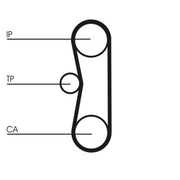 Continental CTAM Timing Belt Kit with Rollers CT662K1