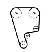 Continental CTAM Timing Belt Kit with Rollers CT794K1