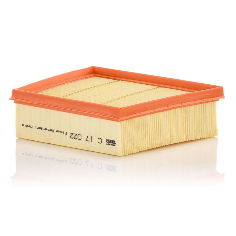 MANN-FILTER Engine Air Filter C 17 022