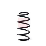 Apec Front Suspension Coil Spring ACS2012