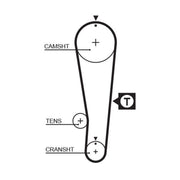 Gates Timing Belt Cambelt 89 Teeth 5393XS
