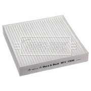 Borg & Beck Cabin Air Filter (Pollen Filter) BFC1306