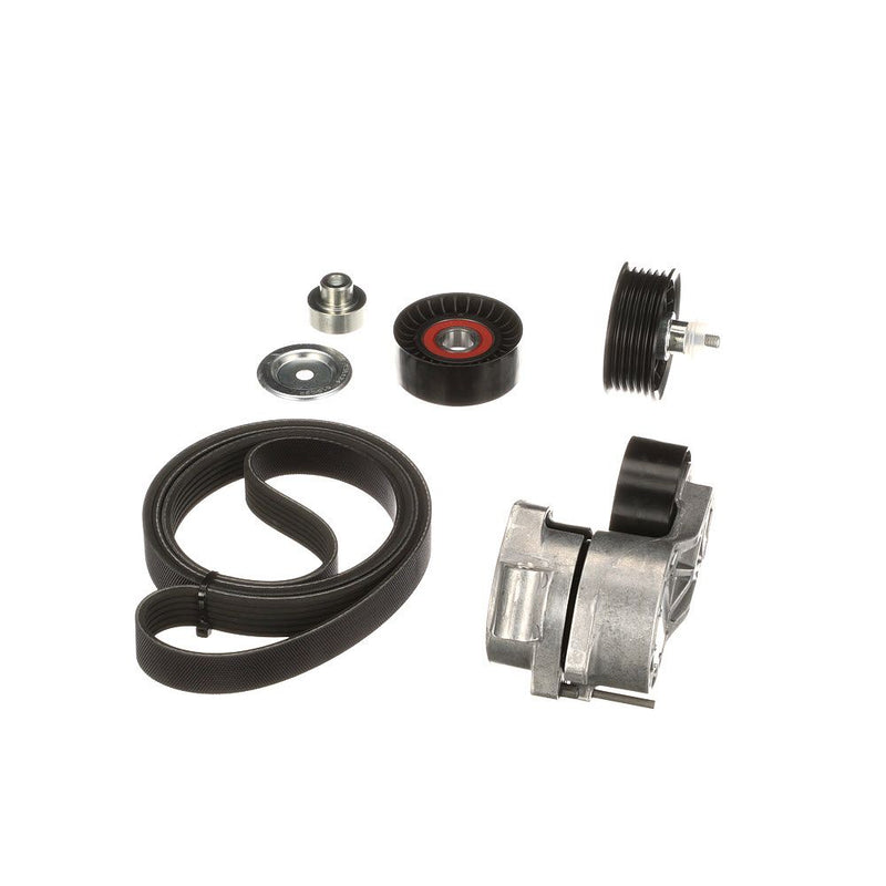 Gates K166PK1640 V-ribbed Belt Set