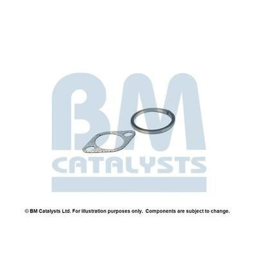 BM Catalysts Fitting Kit FK90455A FK90455A