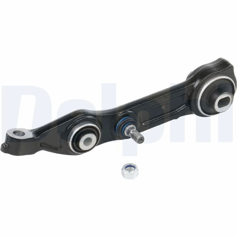 Delphi Control/Trailing Arm Rear TC1384