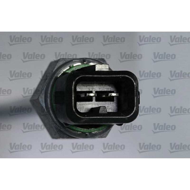 Valeo Oil Level Sensor 366206