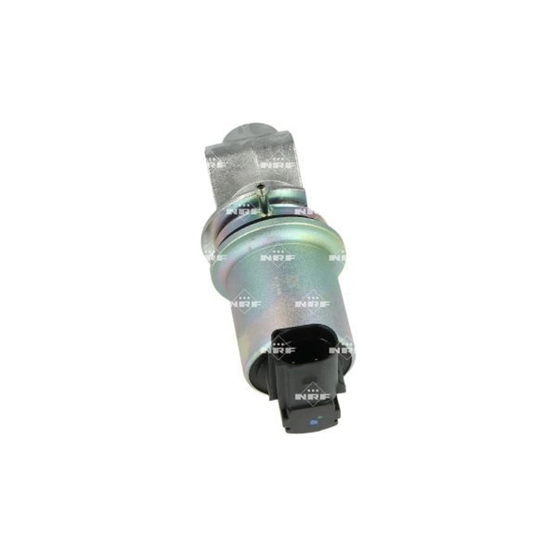 NRF Exhaust Gas Recirculation Valve 48330