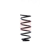 Apec Front Suspension Coil Spring ACS1492