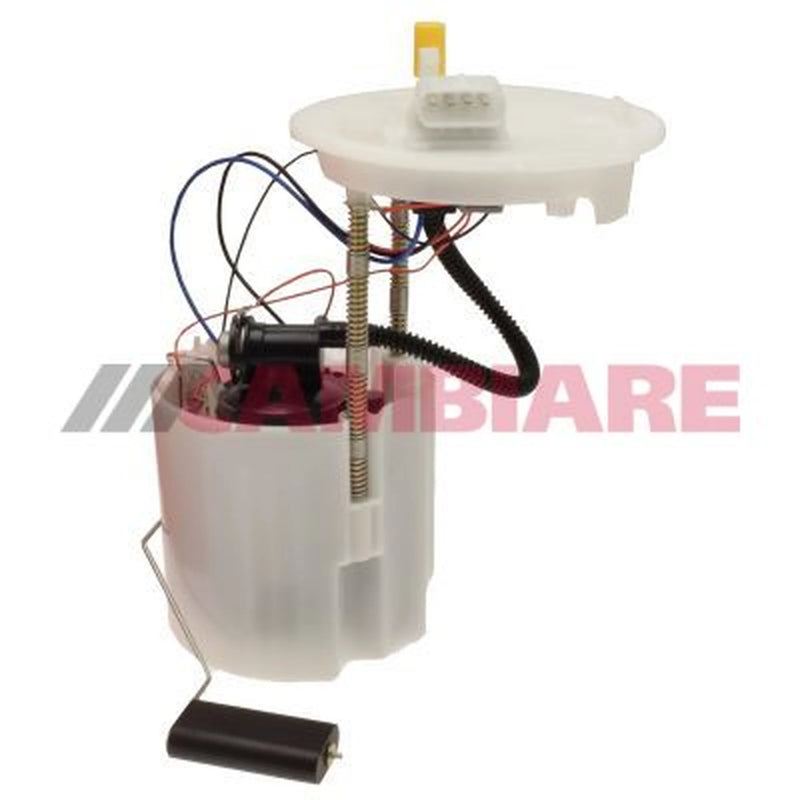 Cambiare Fuel Tank Sender Unit VE523848