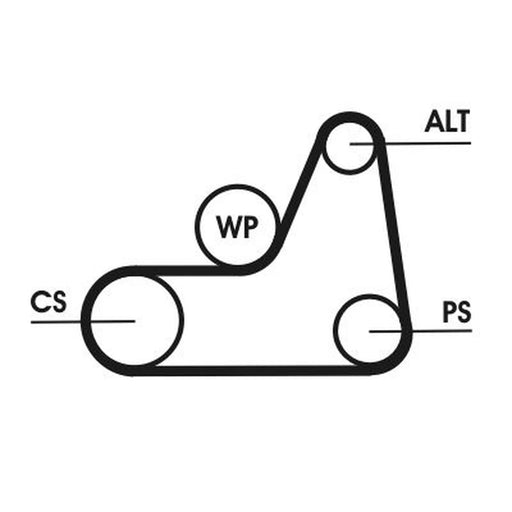 Continental CTAM Multi V-Ribbed Drive Belt 6PK1042ELAST