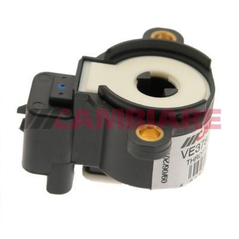 Cambiare Throttle Position Sensor VE378020