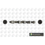 BGA Engine Camshaft Intake Side Lobes CS6303