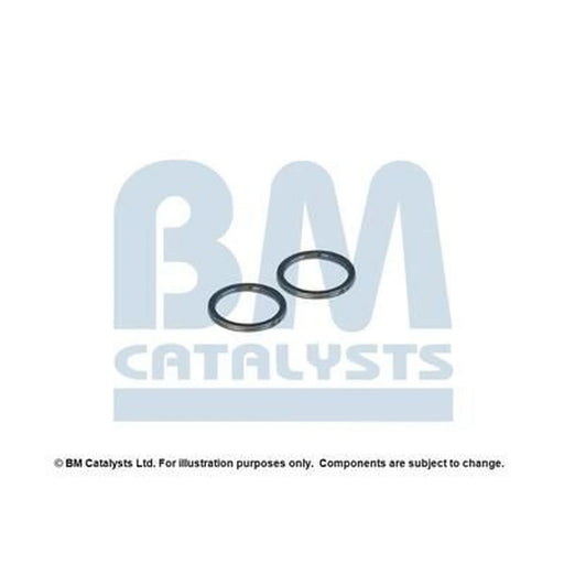 BM Catalysts Fitting Kit FK90309A FK90309A