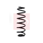 Apec Rear Suspension Coil Spring ACS1122