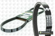 Bga 4PK698 V-ribbed Belt