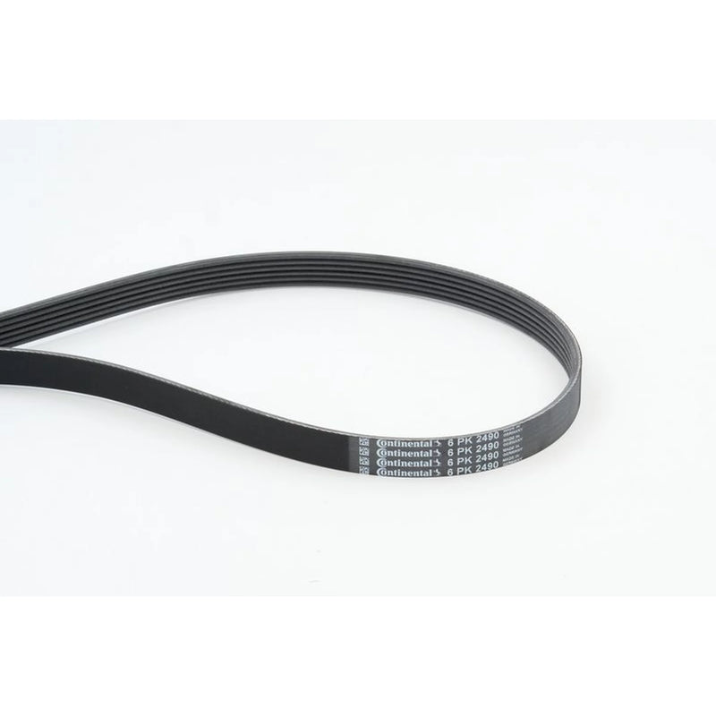 Continental CTAM Multi V-Ribbed Drive Belt 6PK2490