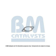 BM Catalysts Fitting Kit FK90154A FK90154A