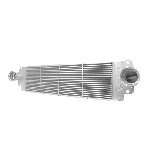 Hella Intercooler (Charge Air Cooler) 8ML 366 340-751