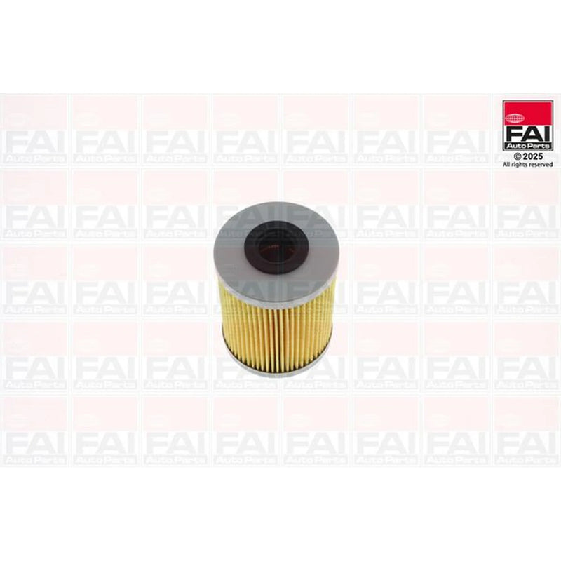 FAI Fuel Filter Element FF124